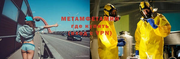 гидра Кодинск