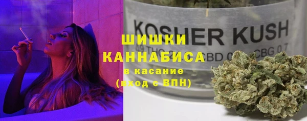 гидра Кодинск