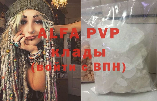 гидра Кодинск