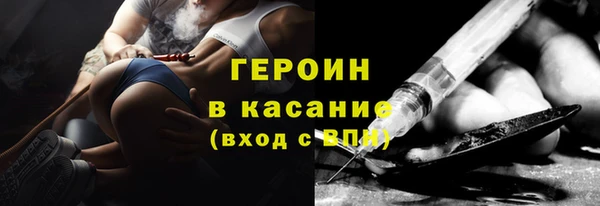 гидра Кодинск