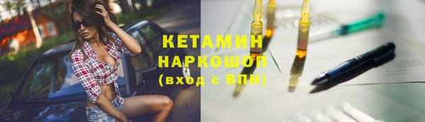 гидра Кодинск
