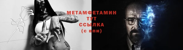 гидра Кодинск