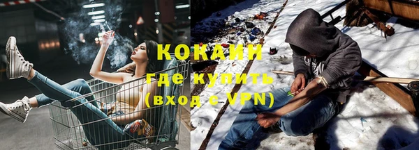 гидра Кодинск