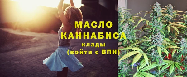 гидра Кодинск