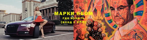 гидра Кодинск