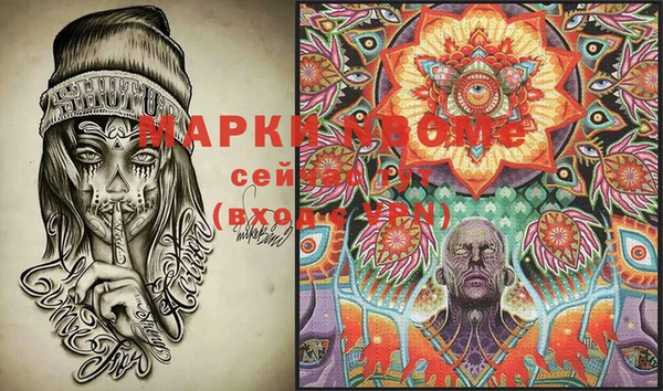гидра Кодинск