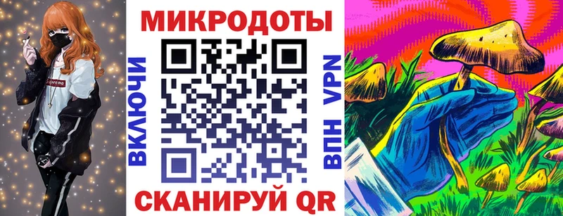 Галлюциногенные грибы Psilocybe  Елец 
