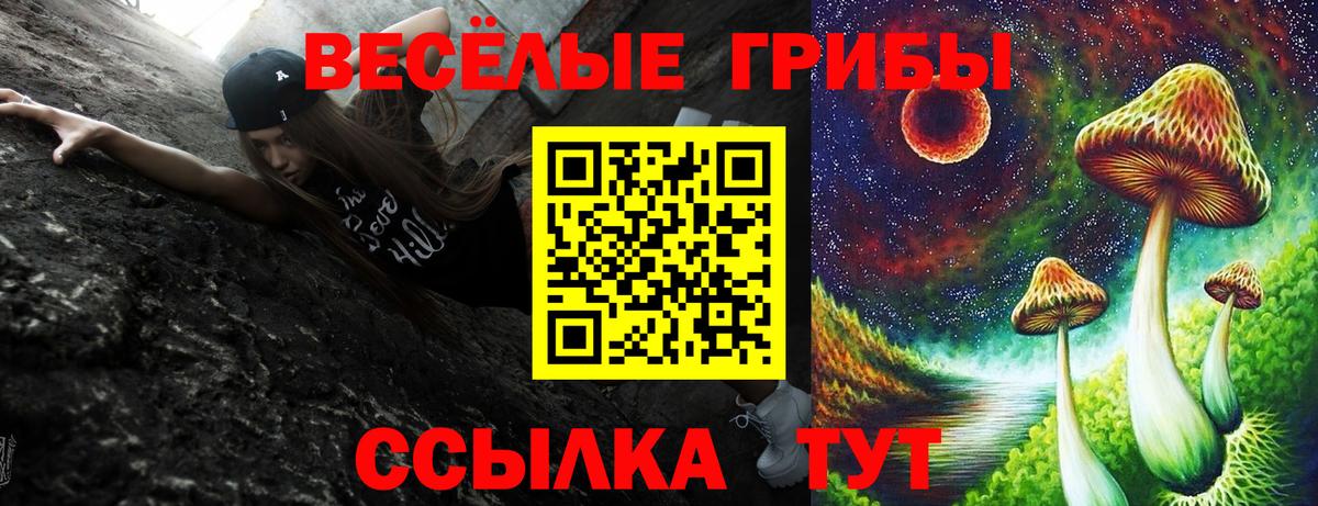 Псилоцибиновые грибы прущие грибы Елец